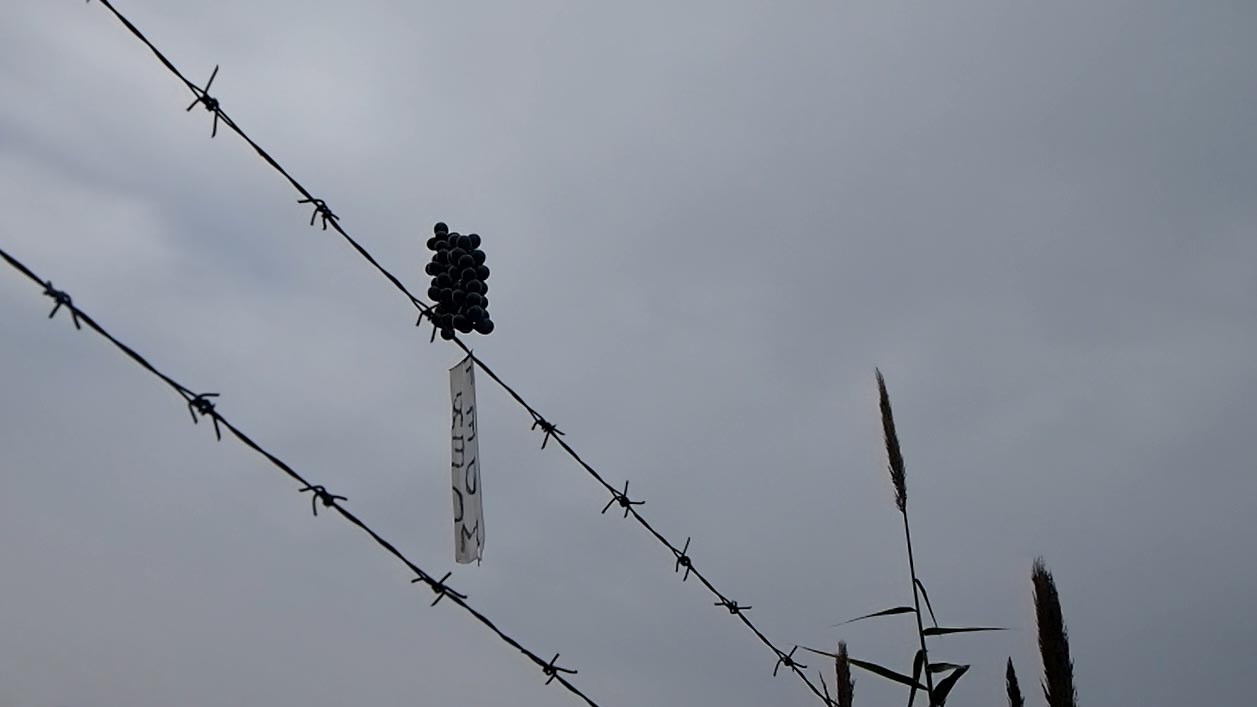 Συγκέντρωση αλληλεγγύης στους φυλακισμένους μετανάστες απεργούς πείνας έξω απ’ την Αμυγδαλέζα